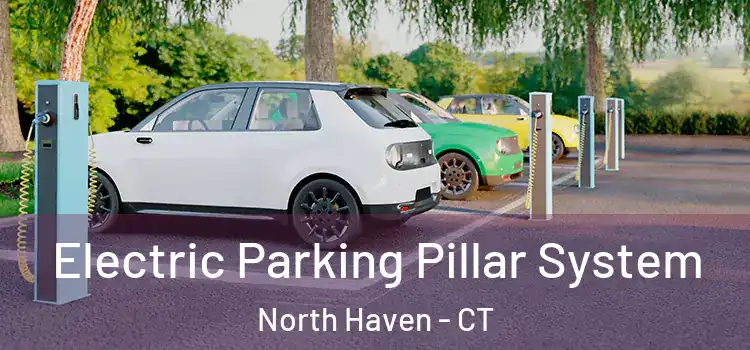  Electric Parking Pillar System North Haven - CT